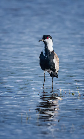 20130911_Kenya_0028