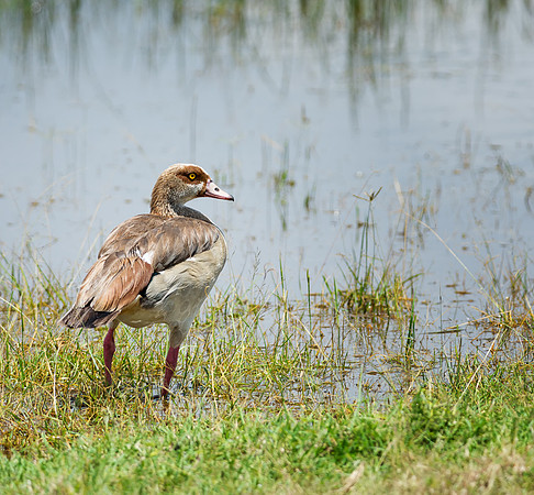 20130911_Kenya_0022