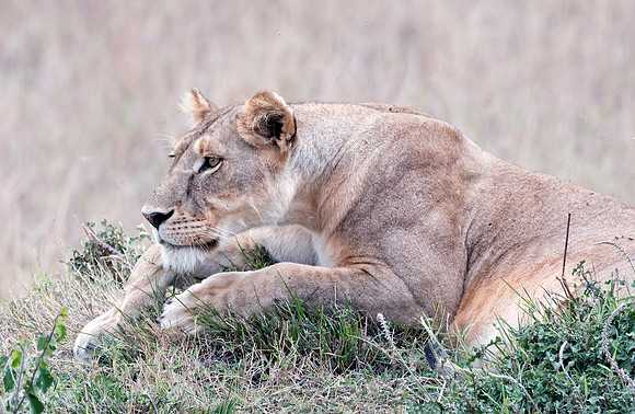 20130919_Kenya_0051