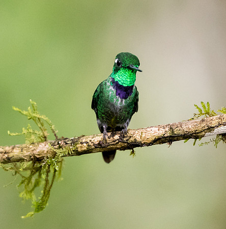 20150105_Ecuador_0001