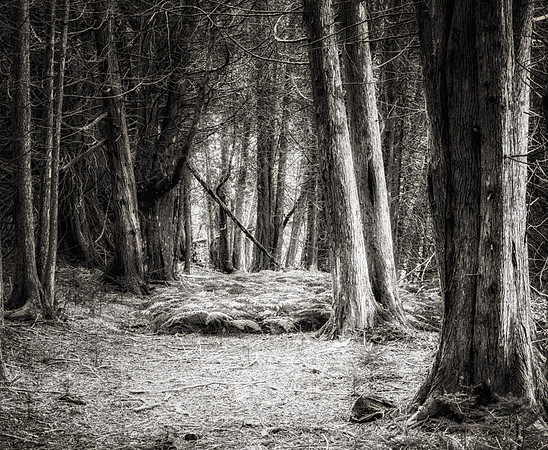 20140820_France_0036