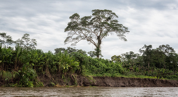 20150115_Ecuador_0001