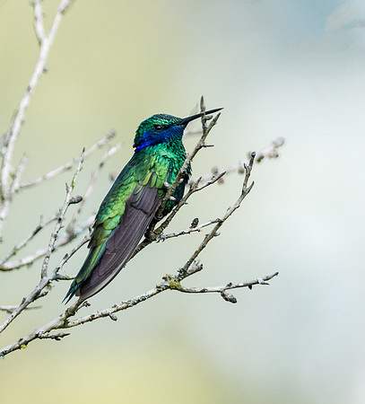 20150108_Ecuador_0007