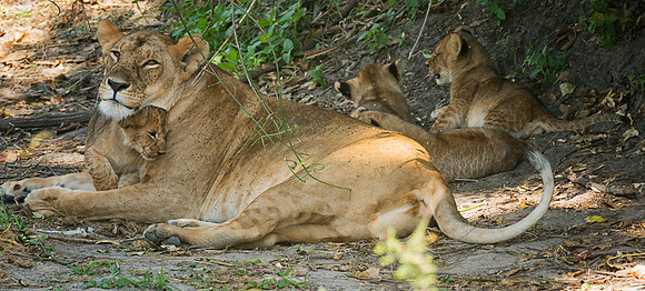 20130916_Kenya_0036