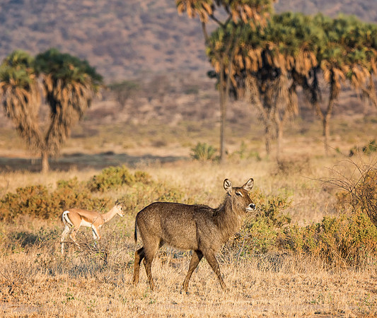 20130909_Kenya_0003