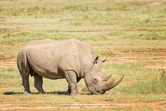 20130911_Kenya_0017
