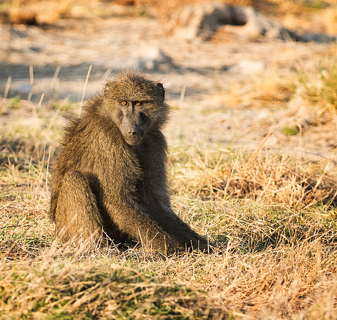 20130909_Kenya_0007