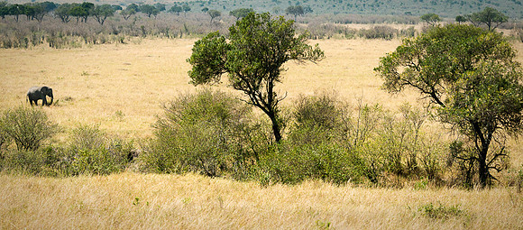 20130915_Kenya_0009