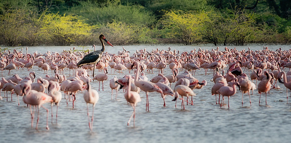 20130911_Kenya_0027