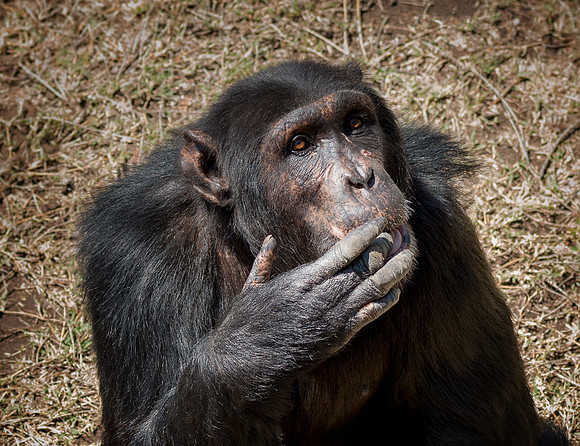 20130907_Kenya_0011