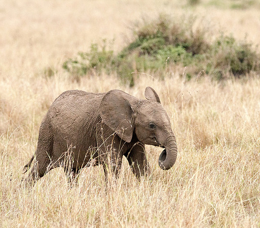 20130919_Kenya_0066