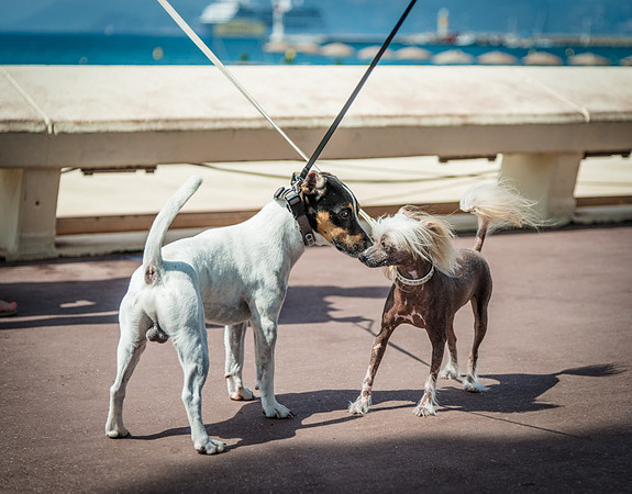 20140624_France_0014