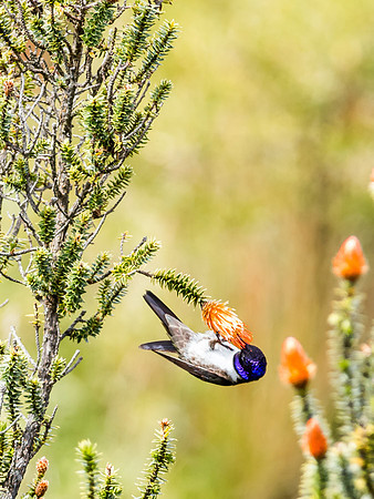 20150109_Ecuador_0002