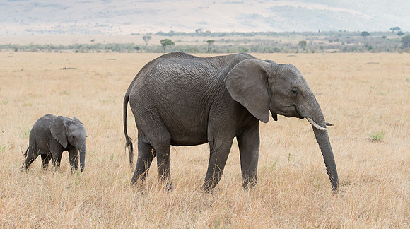 20130916_Kenya_0043
