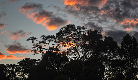 20150115_Ecuador_0002