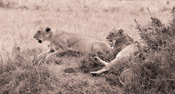 20130919_Kenya_0045