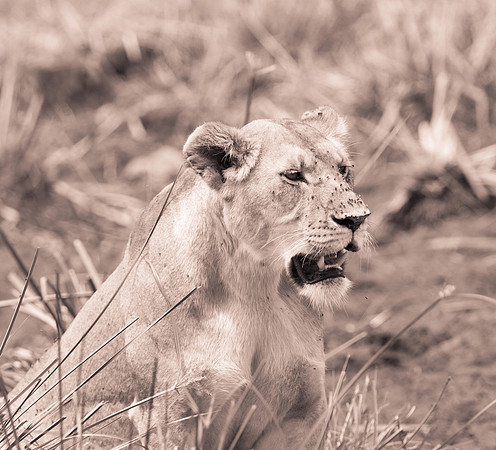 20130919_Kenya_0040