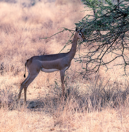 20130908_Kenya_0016