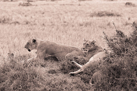 20130919_Kenya_0046