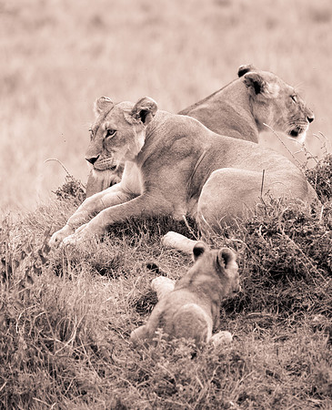 20130919_Kenya_0047