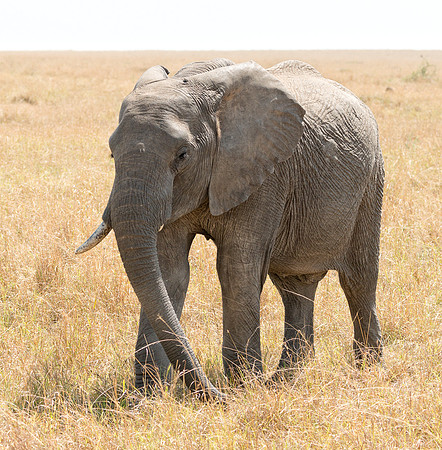20130915_Kenya_0001
