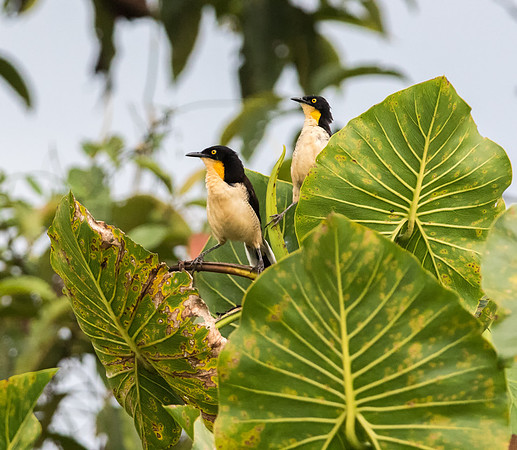 20150116_Ecuador_0009