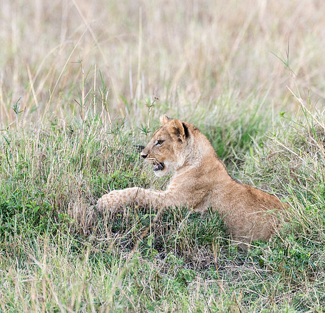 20130919_Kenya_0073