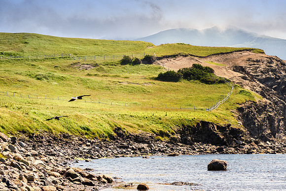 20150802_Portfolio Photos_0001