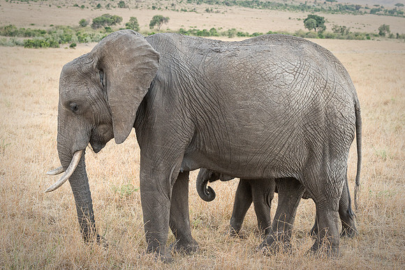 20130916_Kenya_0045