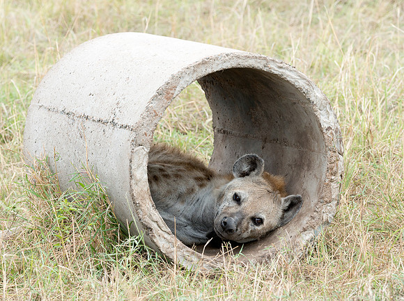 20130918_Kenya_0016