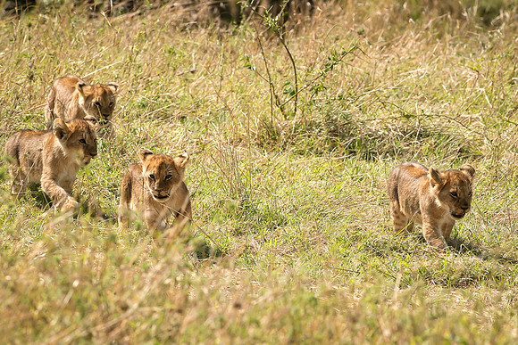 20130916_Kenya_0029