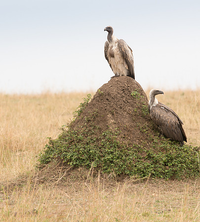 20130918_Kenya_0007
