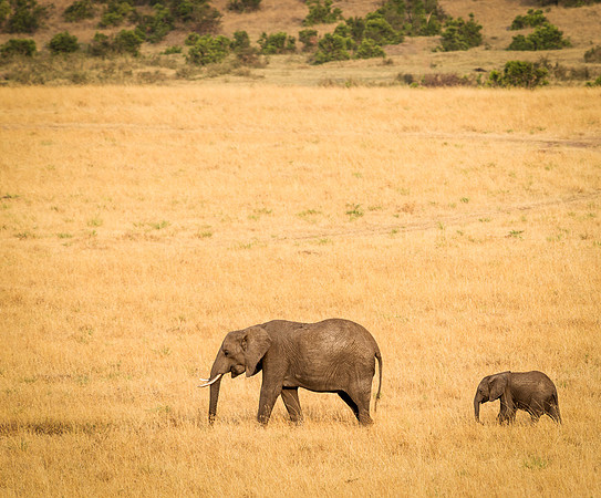 20130916_Kenya_0060