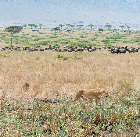 20130919_Kenya_0034