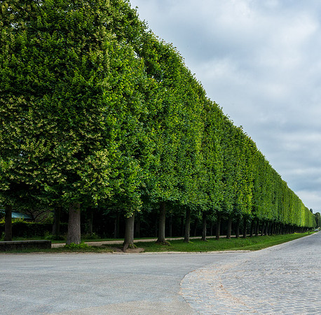 20140619_France_0005