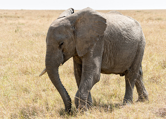 20130915_Kenya_0001