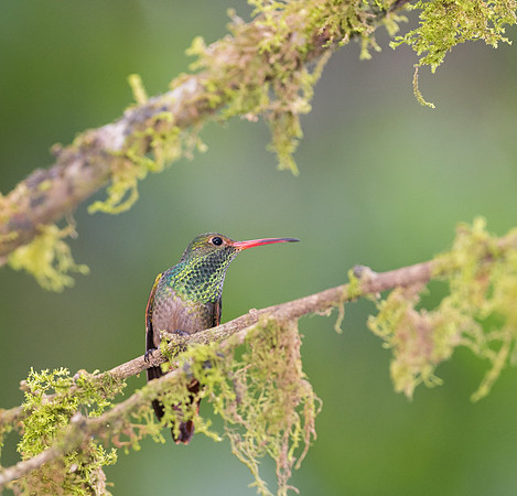 20150105_Ecuador_0025