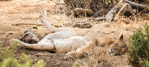 20130909_Kenya_0033