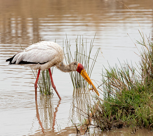 20130918_Kenya_0009