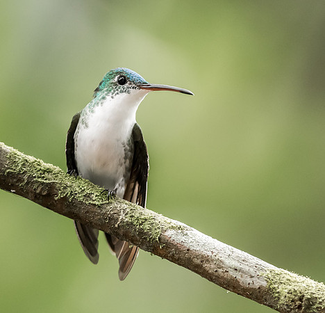 20150107_Ecuador_0016