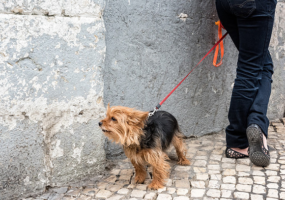 20140922_Ecuador_0092