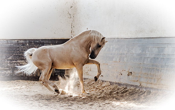 20140923_Ecuador_0001