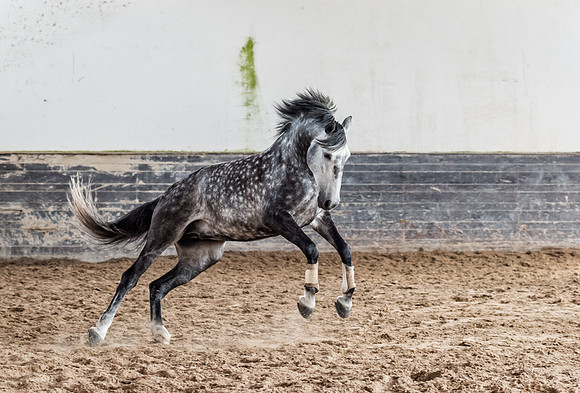 20140923_Ecuador_0006