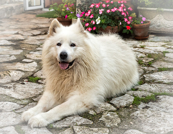 20140923_Ecuador_0011