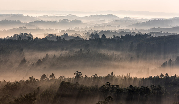 20140925_Ecuador_0007