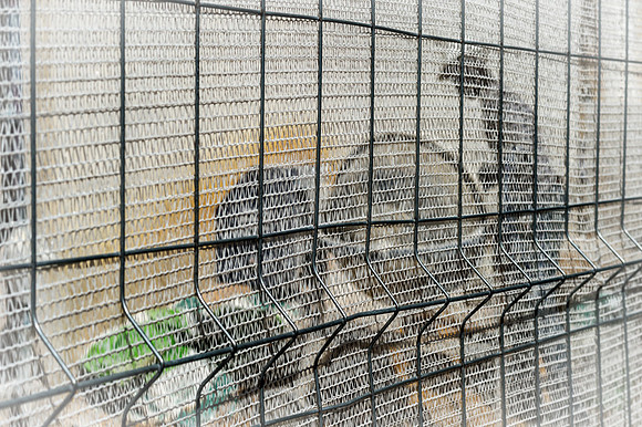 20140925_Ecuador_0022