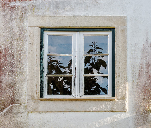 20140925_Ecuador_0025