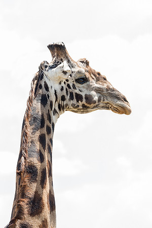 20130913_Kenya_0025