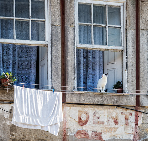 20140928_Ecuador_0009