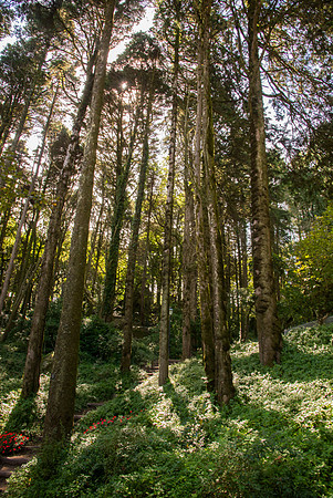 20140930_Ecuador_0011